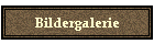 Bildergalerie