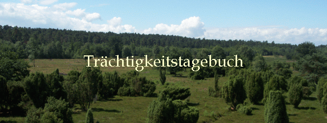Trchtigkeitstagebuch