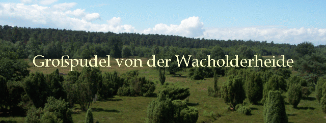Gropudel von der Wacholderheide