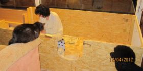 IMG_2427.jpg